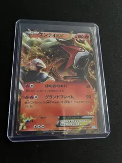 Entei EX 009/069 Pokemon Cards PL Japanese Holo Ultra Rare Vintage - Image 4