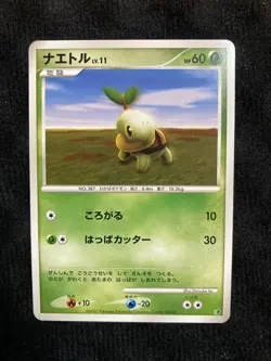 Pokemon TCG Turtwig DP Japanese Card #230531 - Image 1