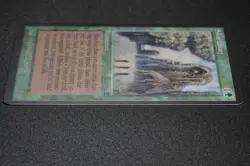 Sylvan Library Magic Card Legends MTG - Image 4