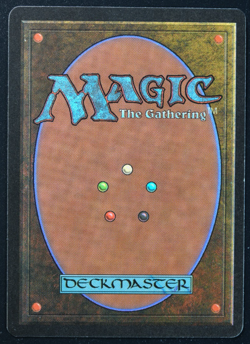 Sengir Vampire Magic Card Beta MTG 1993 - Image 3