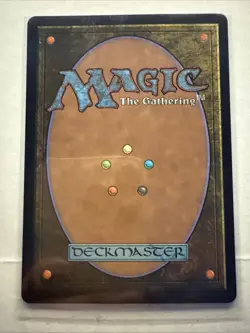 MTG Normal Mystic Remora (Borderless) M Avatar: The Last Airbender: Eternal-Lega - Image 2