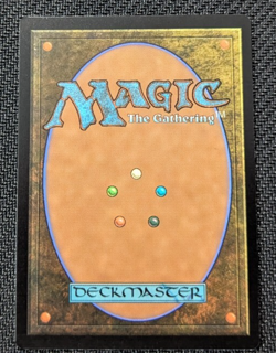 MTG Foundations Jumpstart Shroofus Sproutsire ANIME ART NM/M Pack Fresh - Image 2