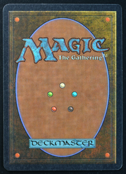 Meekstone Magic Card Unlimited MTG 1993 - Image 4