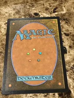APPA, STEADFAST Guardian Magic MTG Avatar Borderless - Image 2