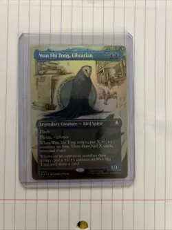Wan Shi Tong Librarian Borderless FOIL NM - Magic MTG TLA - Image 1