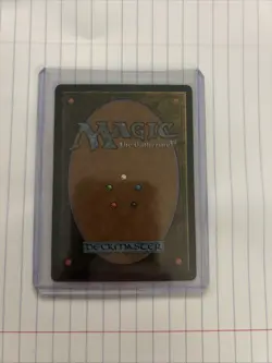 Wan Shi Tong Librarian Borderless FOIL NM - Magic MTG TLA - Image 2