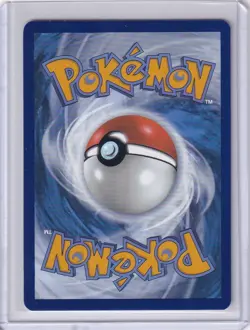 Pokemon TCG Feraligatr 213 (Illustration Contest 2024) Scarlet & Violet Promo NM - Image 2