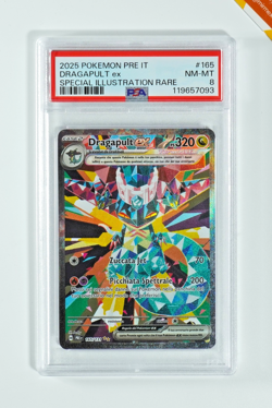 Pokemon PSA 8 Dragapult Ex #165 PRE IT Special Illustration Rare 2025 Italiano - Image 1