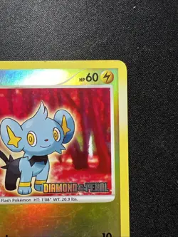 Shinx 98/130 Reverse Holo Diamond & Pearl Stamped Ken Sugimori Pokemon Card TCG - Image 3