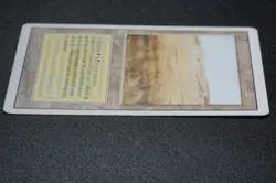 Savannah Magic Card Dual Land Revised MTG Reserved List - Image 5