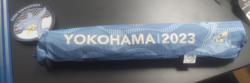 Pokemon 2023 World Championships Yokohama Japan Worlds 23 Pikachu Lapras Playmat - Image 2