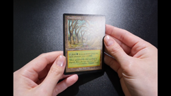 Gaea's Cradle Urza's Saga Magic Card MTG Reserved List - Image 2