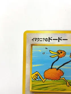 NM- Pokemon Card Imakuni's Doduo No. 084 White Star Promo Gym OLD BACK JAPAN - Image 2