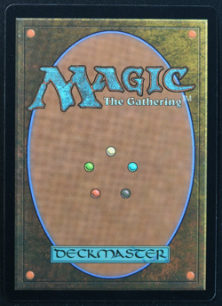 Kaheera, the Orphanguard #176 Serialized Foil Magic Card MUL MTG - Image 3