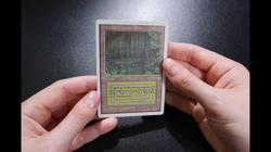 Bayou Magic Card Dual Land Unlimited MTG Reserved List - Image 2