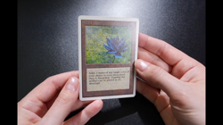 Black Lotus Unlimited Power 9 Magic Card MTG Reserved List - Image 2