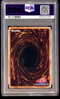 PSA 8 NM Mint Dark Magician Girl QCCU-JP002 Ultimate Rare 2024 Japanese Graded - Image 2