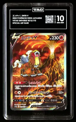 TAG 10 SET Entei V Suicune V Raikou V 213 215 218 VSTAR Universe Graded - Image 2