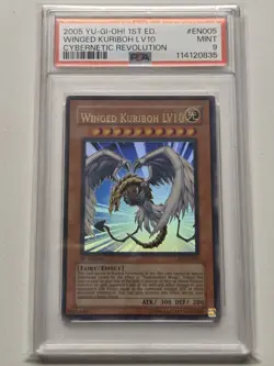PSA 9 Winged Kuriboh LV10 CRV-EN005 1st Edition Cybernetic Revolution Yugioh - Image 4