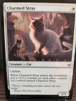 MTG Charmed Stray -War of the Spark -FOIL- 008/264 - Image 1