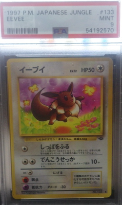 Pokemon Japanese Jungle EEVEE #133 - PSA 9 YOU NEED THIS.... - Image 1