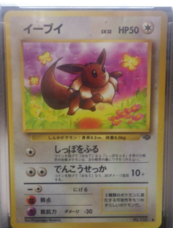 Pokemon Japanese Jungle EEVEE #133 - PSA 9 YOU NEED THIS.... - Image 2