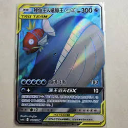Pokemon S-Chinese Card Sun Moon CSM2aC-160 SR Magikarp Wailord-GX Holo NM - Image 1