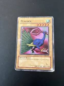 Peacock - Yu-Gi-Oh! TCG - Magic Ruler - MRL-011 - Unlimited - Common HP/damaged - Image 1