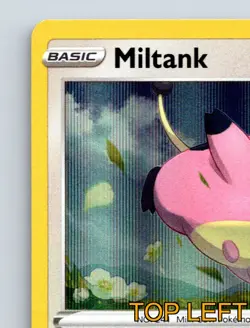 Basic Miltank HP 110 Miracle Body Ability Rout Attack White Background Pokemon - Image 3