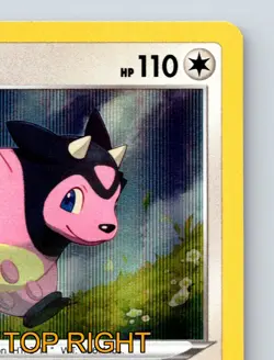 Basic Miltank HP 110 Miracle Body Ability Rout Attack White Background Pokemon - Image 4