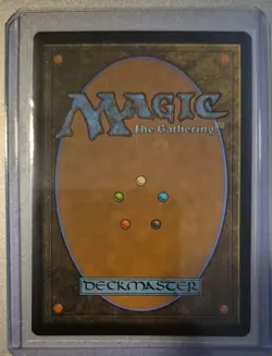 ~ Permission Denied (Borderless) ~ Medium Play ~ ~ MTG ~ - Image 2