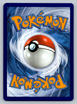 Dachsbun ex 160/142 Pokemon Stellar Crown Full Art Ultra Rare Pokemon Card NM T6 - Image 2