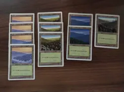 10x Forest Basic Land - LP - 5th Edition - SPARROW MAGIC mtg - Image 1