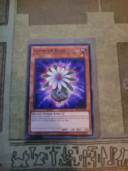 YUGIOH GLOW-UP BULB SDC1-EN021 COMMON 1ST ED NM - Image 1