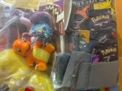 Vintage & Modern Pokemon Accessories Binders Toys Plushies Gold Card Coins 35lbs - Image 2