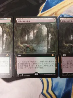 Verdant Catacombs JAPANESE EXTENED MTG Modern Horizons 2 Rare Land Near-Mint x4 - Image 4