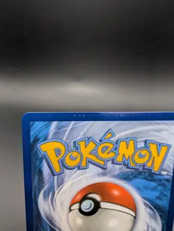 M Charizard EX Ultra Rare XY Evolutions 13/108 Pokemon 2016 Mega LP 1 - Image 5
