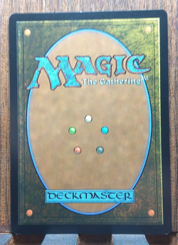 Minas Tirith (0420) (Borderless) Universes Beyond: the Lord of the Rings: Tales - Image 3