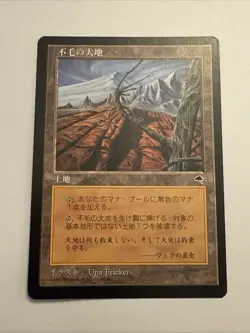 MTG Magic the Gathering Wasteland Mirage Foreign Japanese Land +++ - Image 1