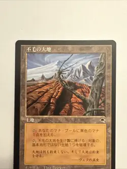 MTG Magic the Gathering Wasteland Mirage Foreign Japanese Land +++ - Image 2