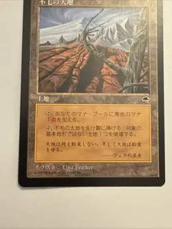 MTG Magic the Gathering Wasteland Mirage Foreign Japanese Land +++ - Image 3