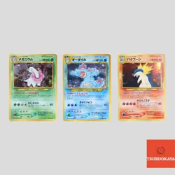 Typhlosion Feraligatr Meganium Premium File set Holo Japanese Pokemon(B rank) - Image 1