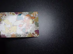Pokemon Pronto Promo Thank you Card Holo Prism Pikachu & Charizard #5933 EX - Image 2