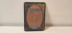 1998 MTG: Full Art Forest English - Unglued (UGL) - See Pictures - Image 2