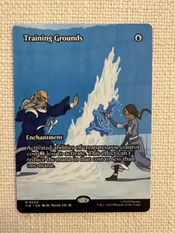 Training Grounds Borderless M0020 | TLE Avatar Eternal | MTG NM - Image 1