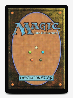The Duke, Rebel Sentry [Avatar: The Last Airbender: Eternal-Legal] MTG ?? - Image 2