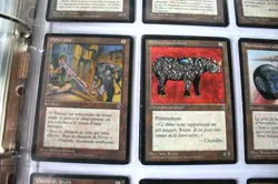 MTG Homelands full complete set french Terres Natales set complet Reserved list - Image 3