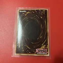 Number 13: Embodiment Of Crime! PGLD-EN023 Gold Secret Rare! LP! - Image 2