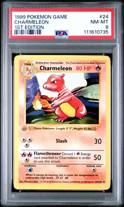 POKEMON CHARMELEON 1st Edition Shadowless WOTC 24/102 PSA 8 NM-MT - Image 1