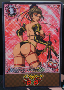 Katerea Leviathan Bikini Armor High School DxD Sexy Waifu Custom Card - Image 1